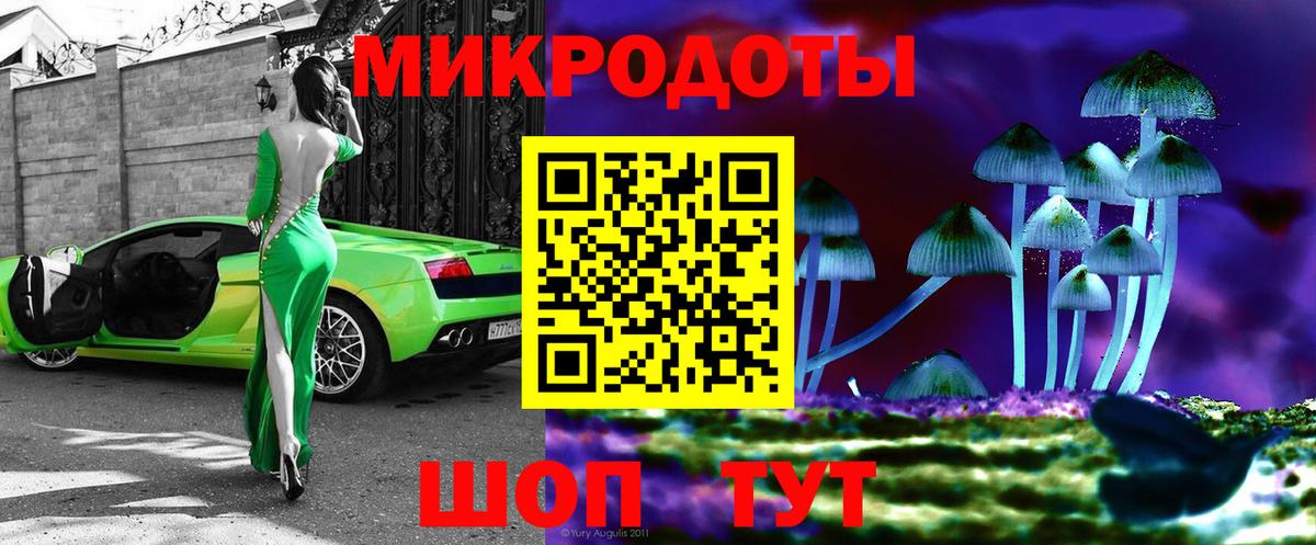 Галлюциногенные грибы Cubensis Санкт-Петербург