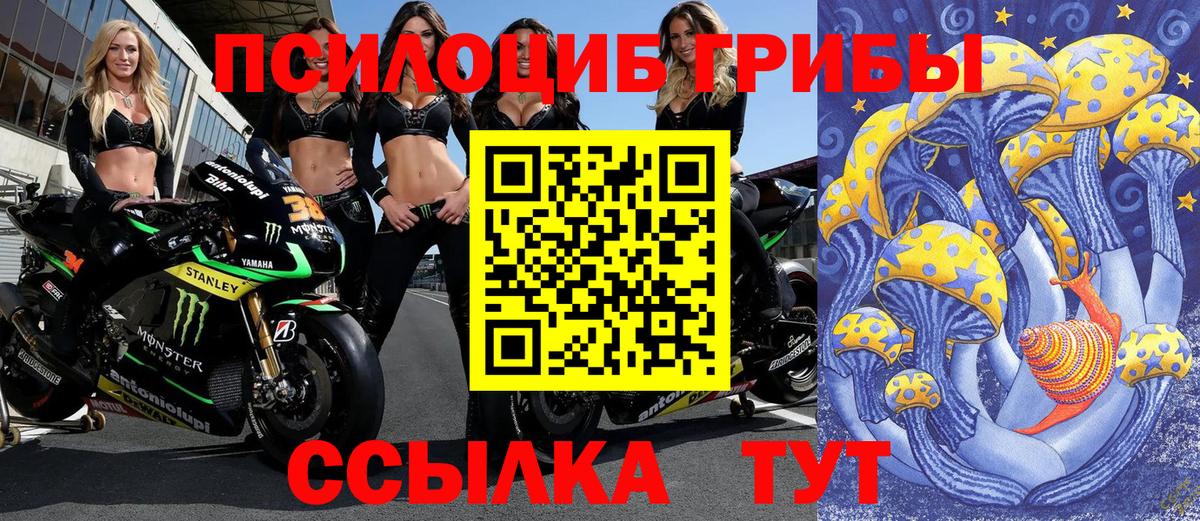 Вейп ТГК  Вход с VPN  Санкт-Петербург  ГАШ  Alpha-PVP СОЛЬ   ГАШИШ  Меф МЯУ МЯУ   COCAIN  Каннабис 