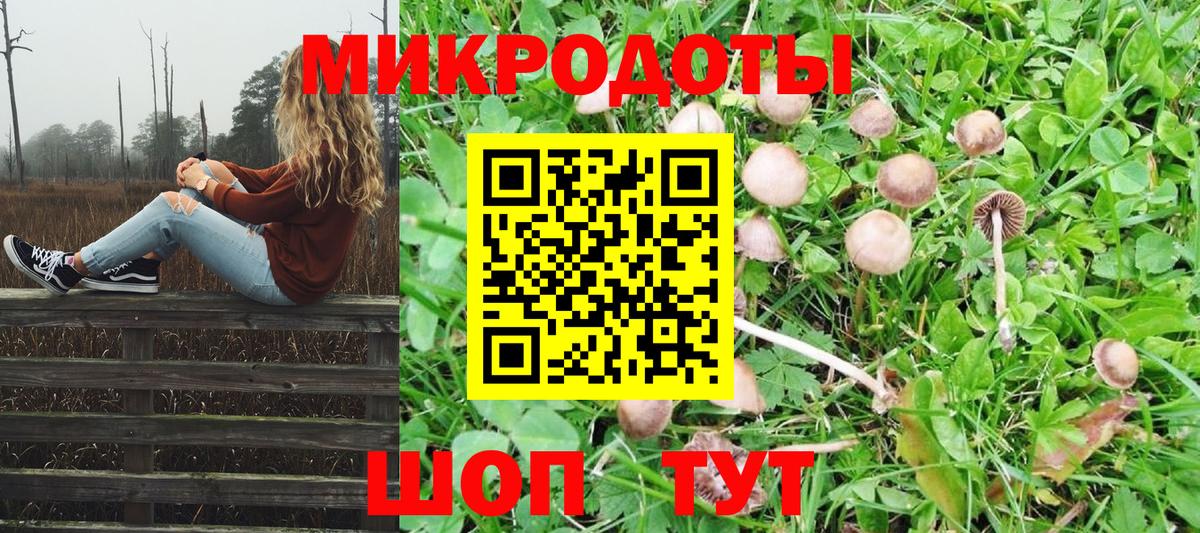 Санкт-Петербург  Галлюциногенные грибы Magic Shrooms  Вход с VPN 